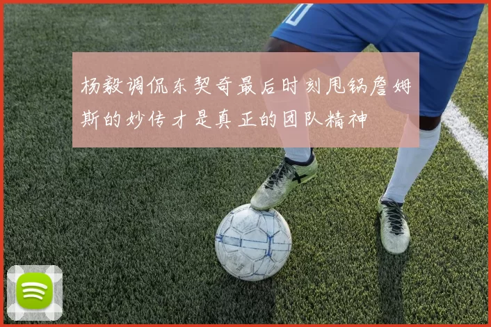杨毅调侃东契奇最后时刻甩锅詹姆斯的妙传才是真正的团队精神